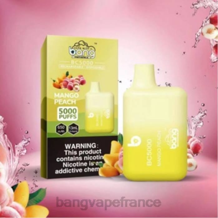 Bang Vape Box BC5000 Stylo 5% nic 5000 bouffées type-c rechargeable 80TH9 jetable bang box vape price