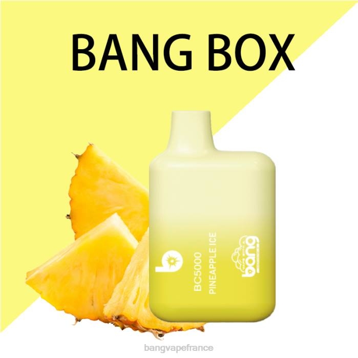 Bang Vape Box BC5000 Stylo 5% nic 5000 bouffées type-c rechargeable 80TH9 jetable bang box vape price
