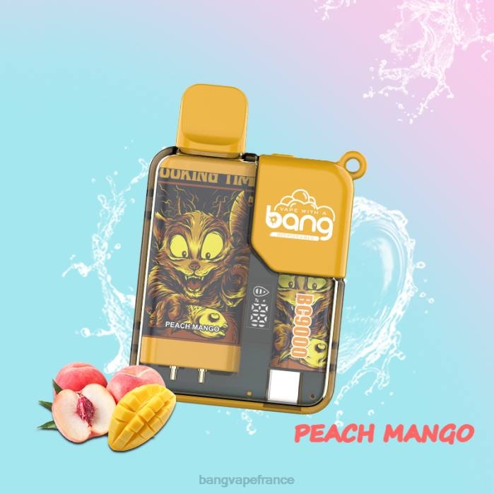 Bang Vape Box BC9000 prérempli 16 ml 80TH6 jetable vape with a bang nicotine
