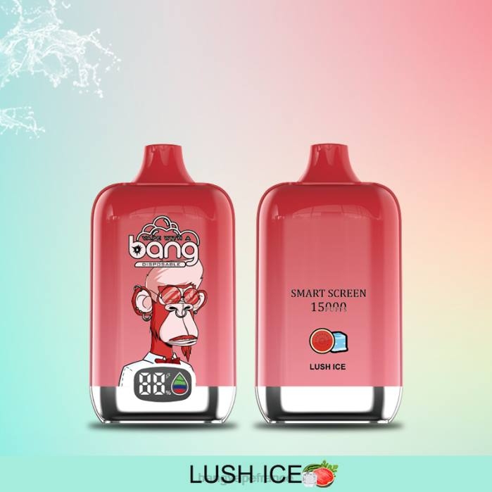 Bang Vape Digital Smart Screen 15000 bouffées 25ml 80TH11 jetable Bang Vape france
