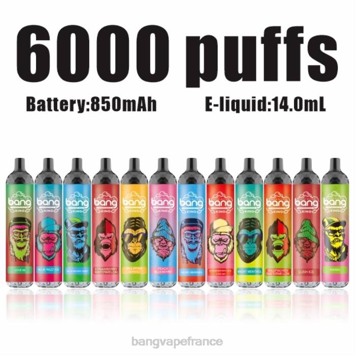Bang Vape King 6000 bouffées 5% nic rechargeable type-c 80TH8 jetable gang vape price