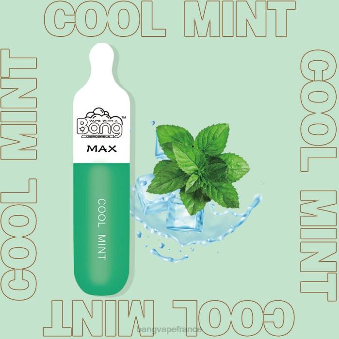 Bang Vape Max Barre de 5000 bouffées 80TH10 jetable vape gang switch duo