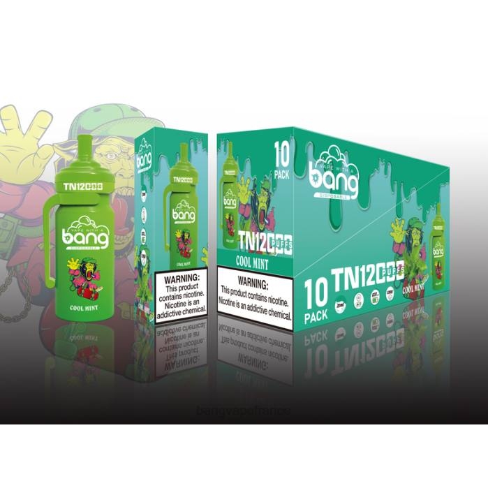 Bang Vape TN12000 pod avec bobine de maille 80TH5 jetable vape gang disposables
