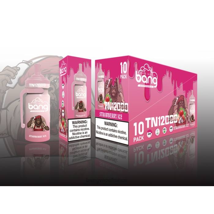 Bang Vape TN12000 pod avec bobine de maille 80TH5 jetable vape gang disposables