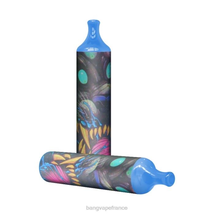 Bang Vape bobine de maille 3500 bouffées 2% nic 80TH7 jetable vape gang shop