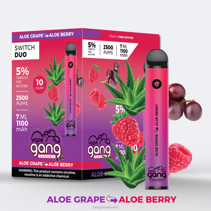 Vape Gang Switch Duo 2 saveurs (boîte de 10) 80TH38 aloe fraise - fraise mangue gang vape price