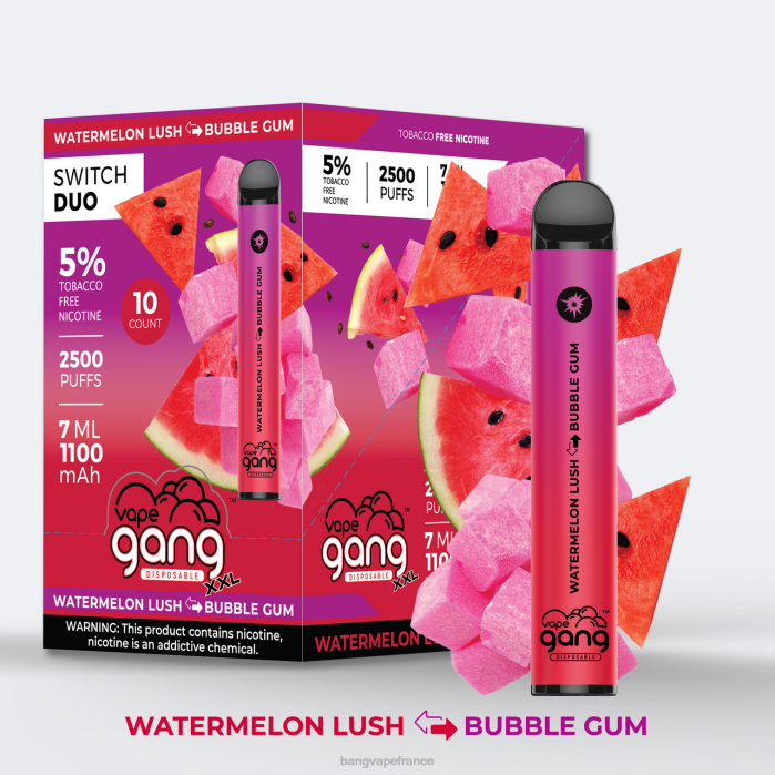 Vape Gang Switch Duo 2 saveurs (boîte de 10) 80TH38 aloe fraise - fraise mangue gang vape price