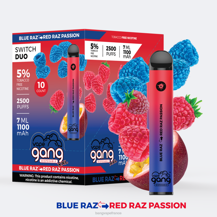 Vape Gang Switch Duo 2 saveurs (boîte de 10) 80TH38 aloe fraise - fraise mangue gang vape price