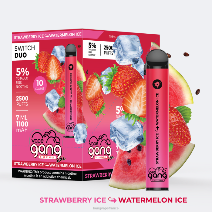 Vape Gang Switch Duo 2 saveurs (boîte de 10) 80TH38 aloe fraise - fraise mangue gang vape price