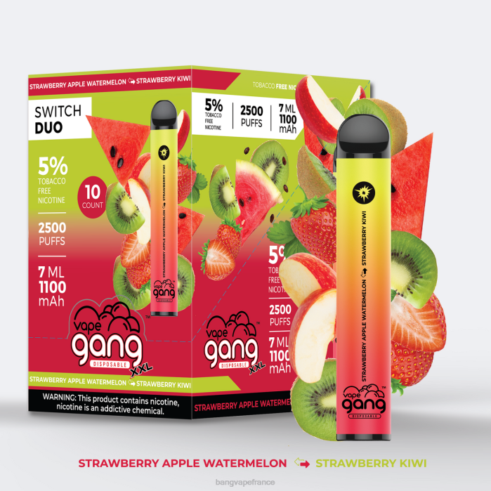 fraise pomme pastèque - fraise kiwi