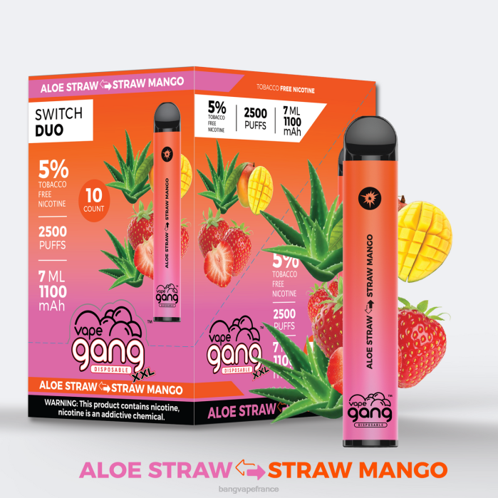 Vape Gang Switch Duo 2 saveurs (boîte de 10) 80TH48 très baie - ours gommeux gang vape price