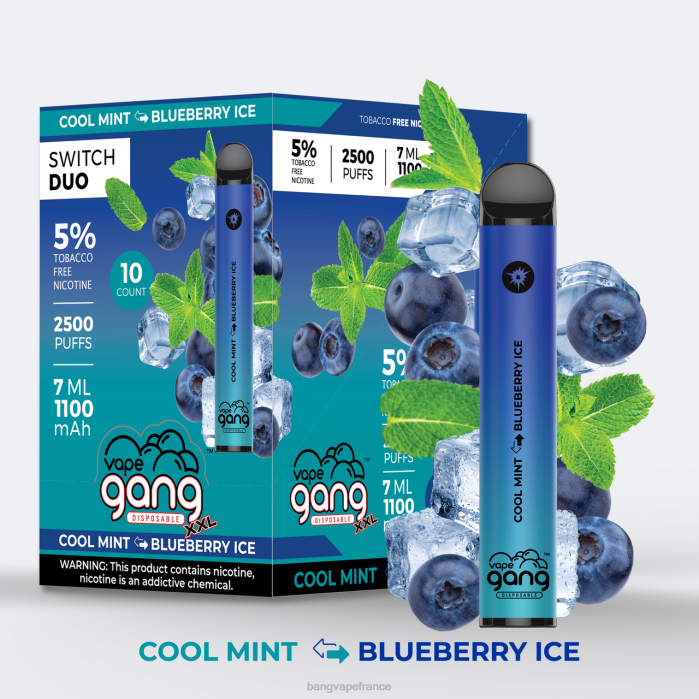 Vape Gang Switch Duo 2 saveurs (boîte de 10) 80TH48 très baie - ours gommeux gang vape price