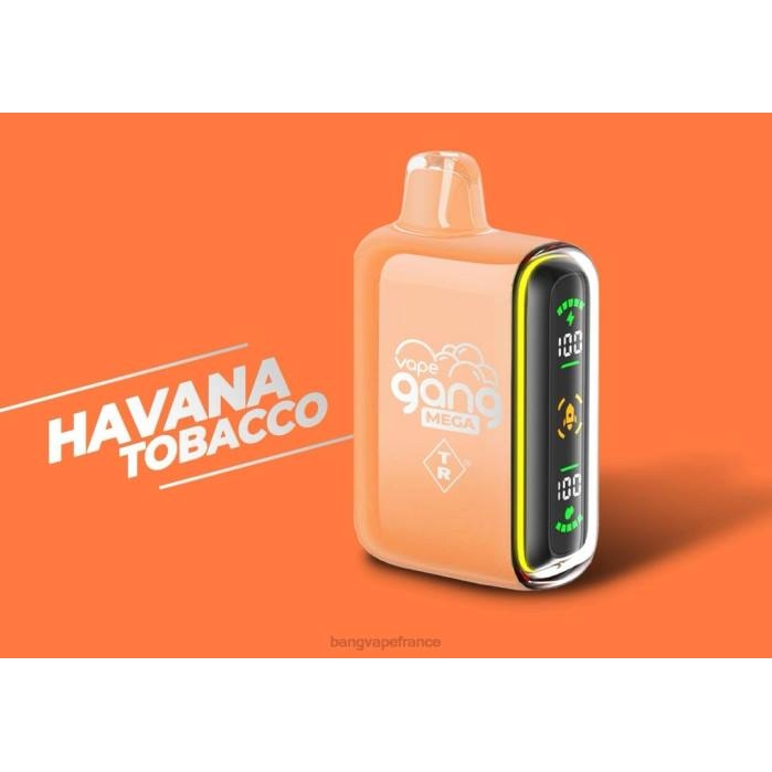 tabac de la havane