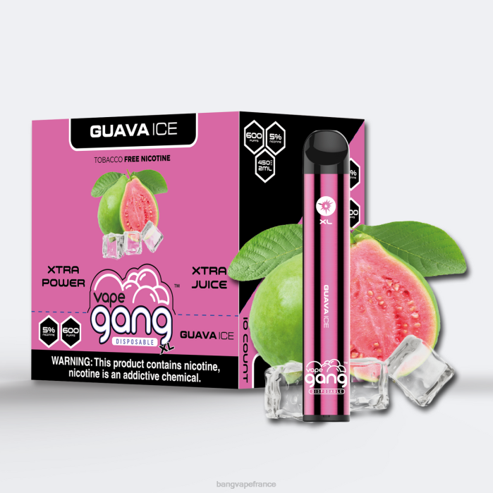 Vape Gang XL vapes jetables 600 bouffées (boîte de 10) 80TH72 glace à la goyave vape gang switch duo