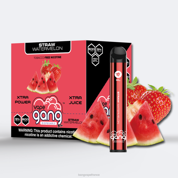 Vape Gang XL vapes jetables 600 bouffées (boîte de 10) 80TH74 pastèque en paille vape gang france