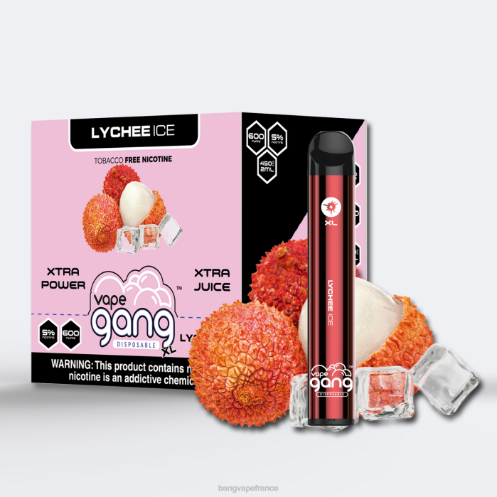 Vape Gang XL vapes jetables 600 bouffées (boîte de 10) 80TH75 glace au litchi Bang Vape paris