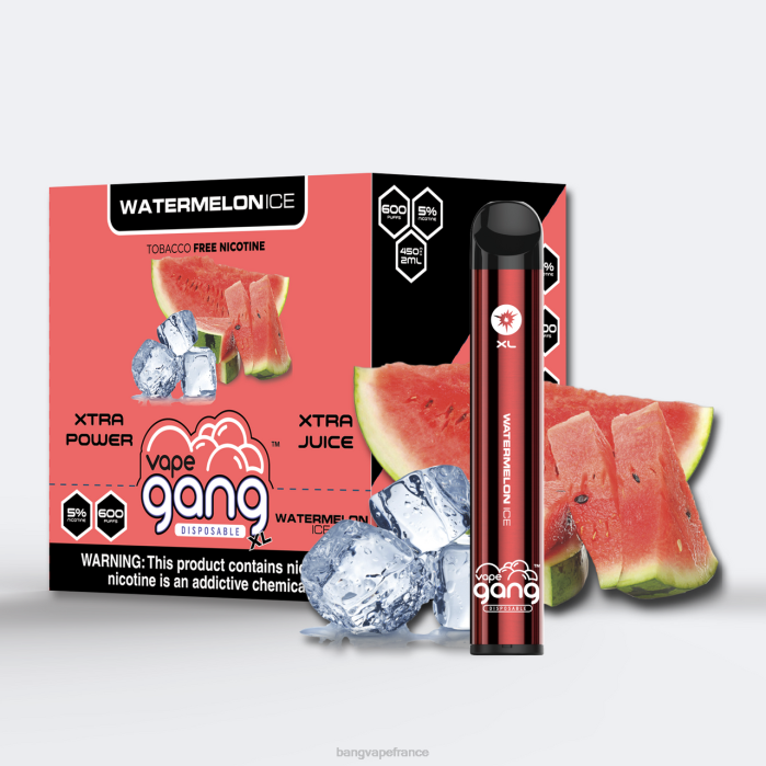 Vape Gang XL vapes jetables 600 bouffées (boîte de 10) 80TH76 glace à la pastèque vape gang paris