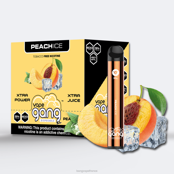 Vape Gang XL vapes jetables 600 bouffées (boîte de 10) 80TH77 glace à la pêche vape gang disposables