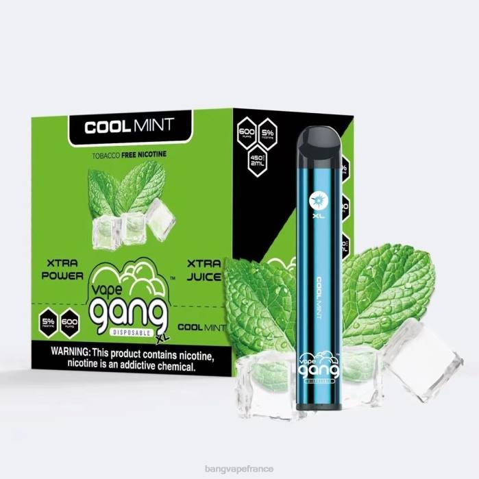 Vape Gang XL vapes jetables 600 bouffées (boîte de 10) 80TH79 menthe fraîche vape gang shop
